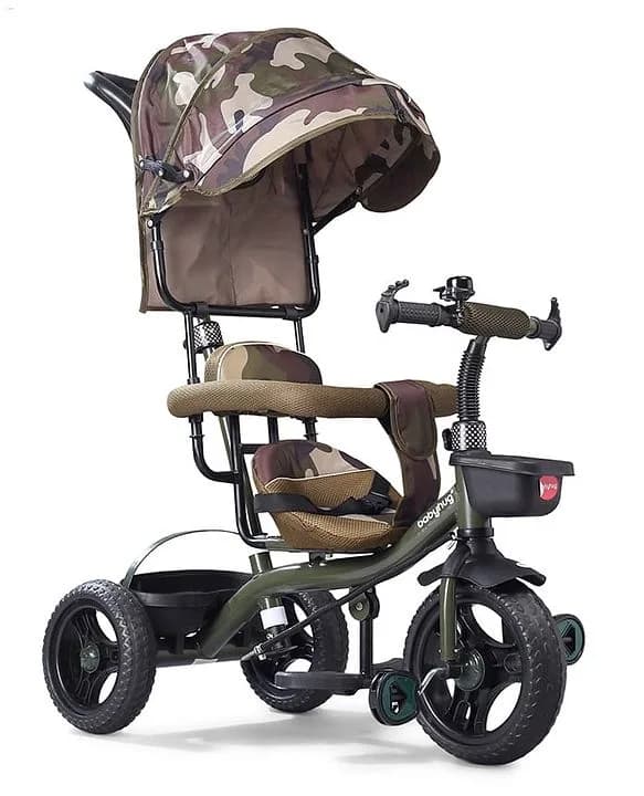 Aster Tricycle — 2